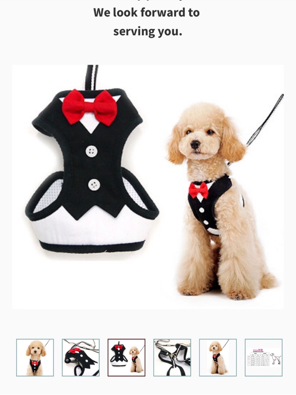 Black Dog Tuxedo Harness with Red Bow Accent - Formal Pet Harness new xs
